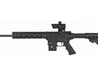 Smith & Wesson M&P15-22