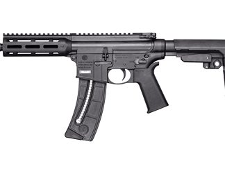 Smith & Wesson M&P 15-22 Pistol