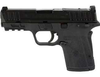 Smith & Wesson Equalizer