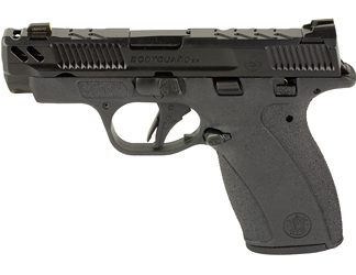 Smith & Wesson Bodyguard 2.0