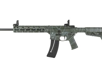 Smith & Wesson M&P15-22