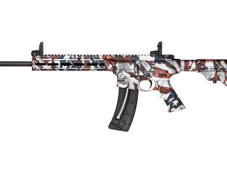 Smith & Wesson M&P15-22