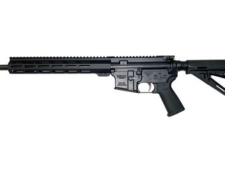 WMD Guns Beast