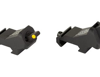 XS Sights DXS