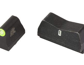 XS Sights DXT2