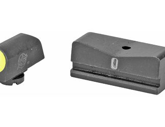 XS Sights DXT2