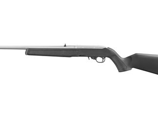 Ruger 10/22