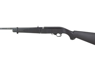 Ruger 10/22