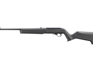 Ruger 10/22