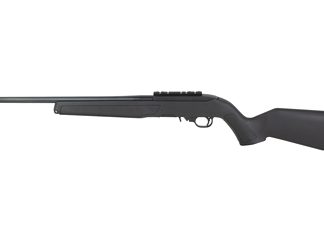 Ruger 10/22