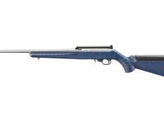 Ruger 10/22